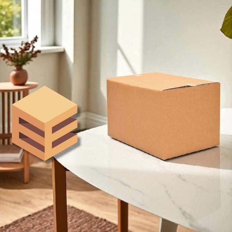 کارتن بدون چاپ